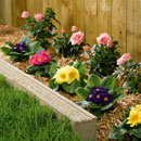 Cast Concrete Borders