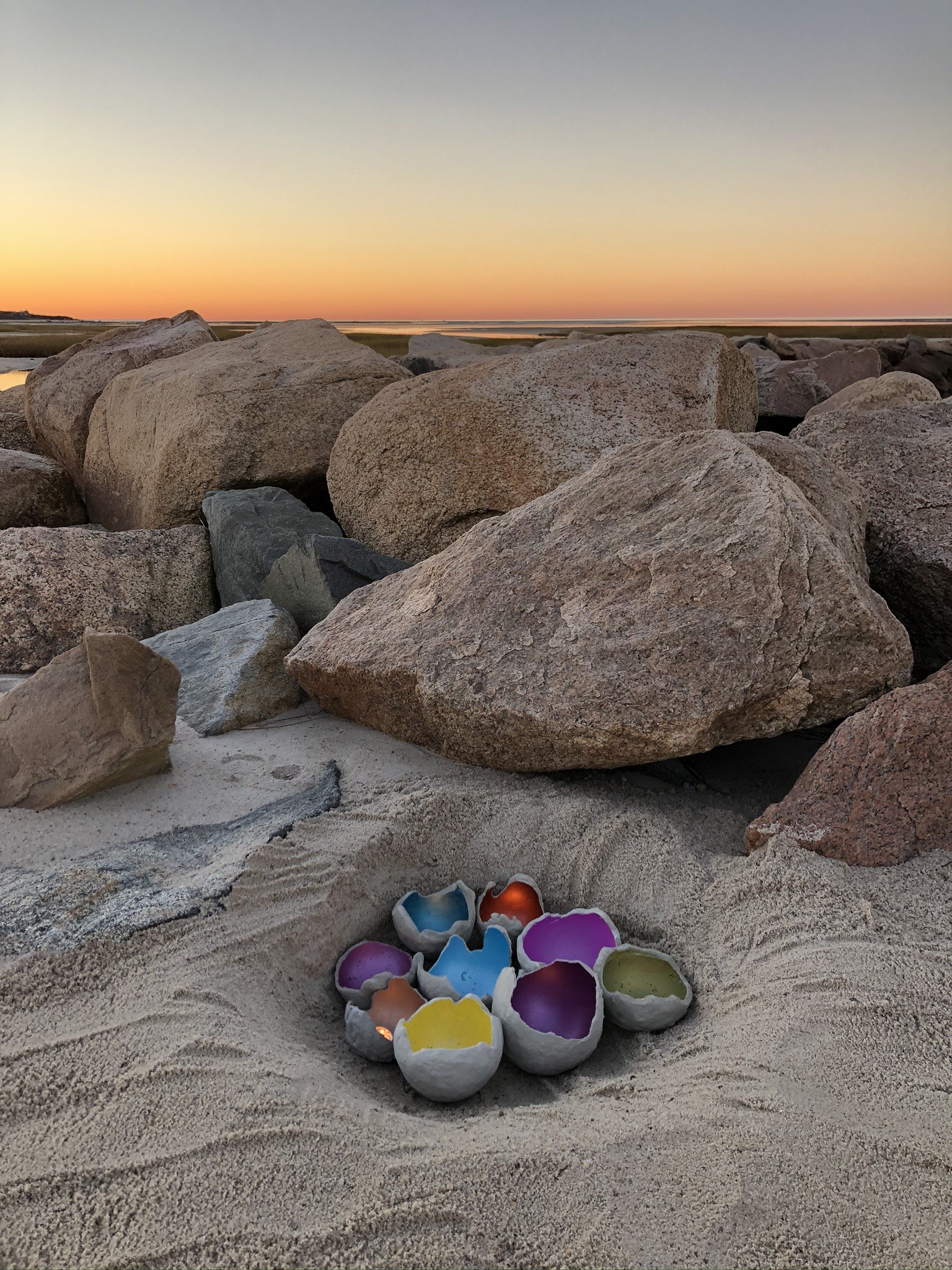 Dinosaur Egg Shells - One Bag Wonder Contest Entries