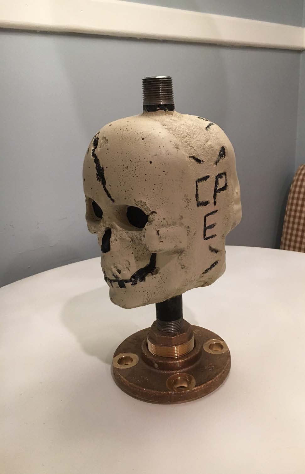 Skull Lamp - One Bag Wonder Contest Entries